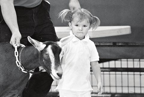 Lincoln County Fair photos
