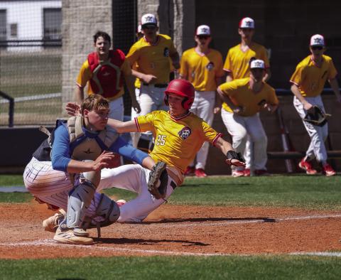 Dale baseball