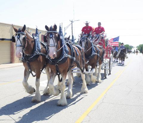 Plenty of horsepower