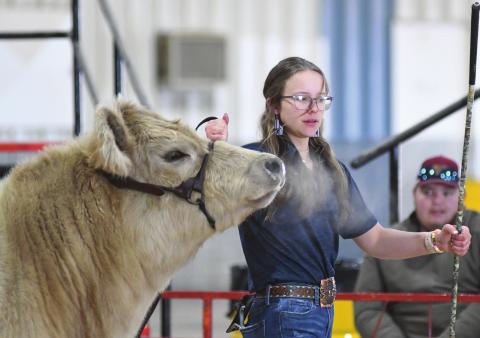 Livestock shows