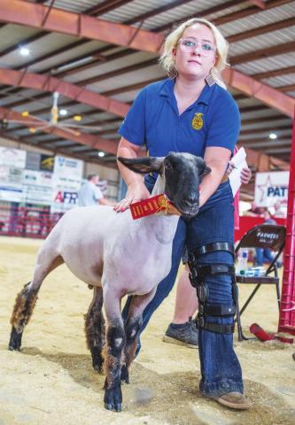 County Fair