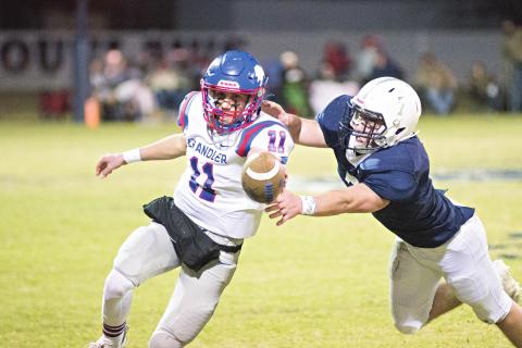 Lions’ comeback falls short