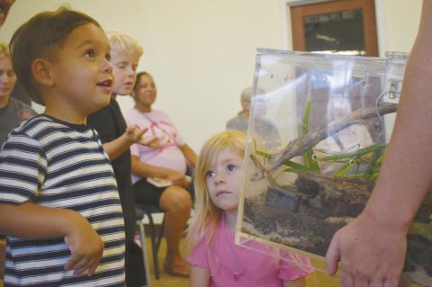 Chandler Library takes a walk on the wild side