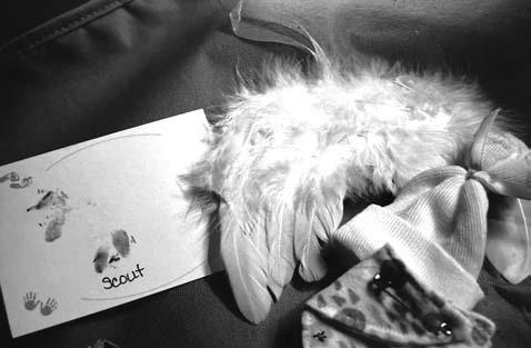 Scout Danyell LaNoue