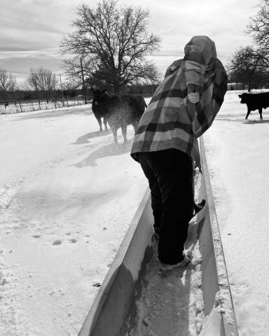 Meeker freshman Stevie Buoy cleaning snow out of a cattle trough. Photo/Beau Newport