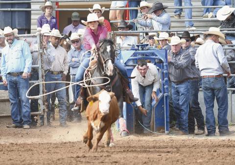 Rodeo time!